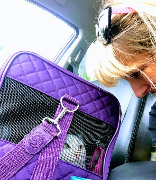 Cat Hospital At Towson 12