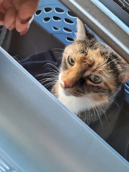 Belvedere Veterinary Center 3