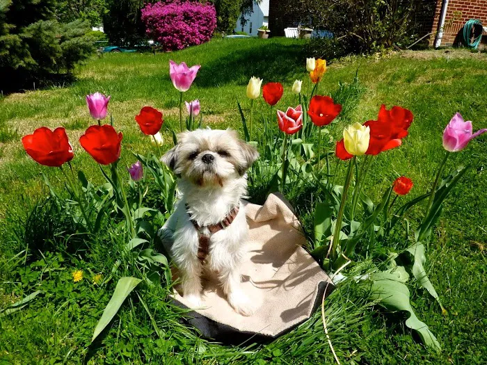 Belvedere Veterinary Center 6