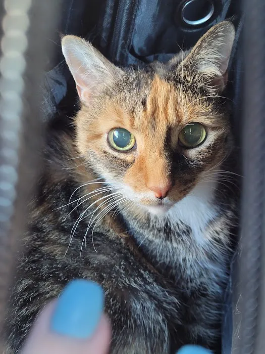 Belvedere Veterinary Center 7