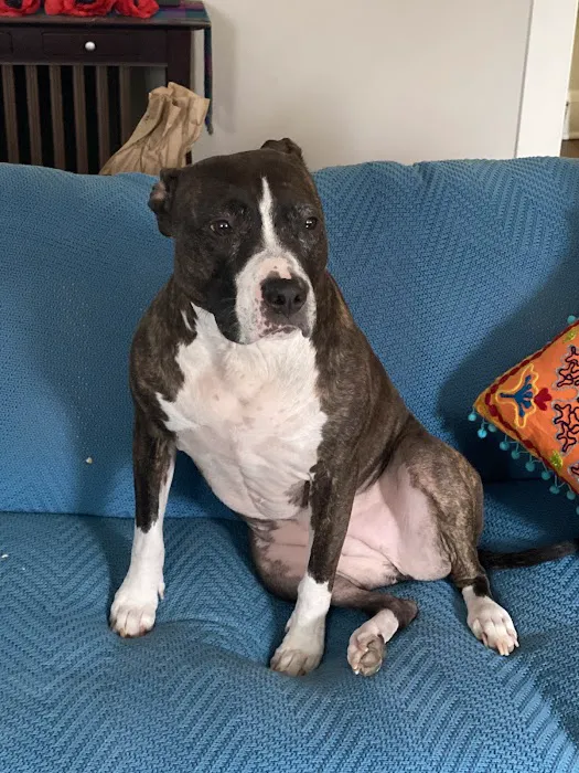 Belvedere Veterinary Center 9