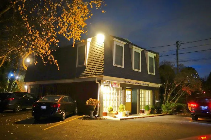 Lutherville Animal Hospital 3