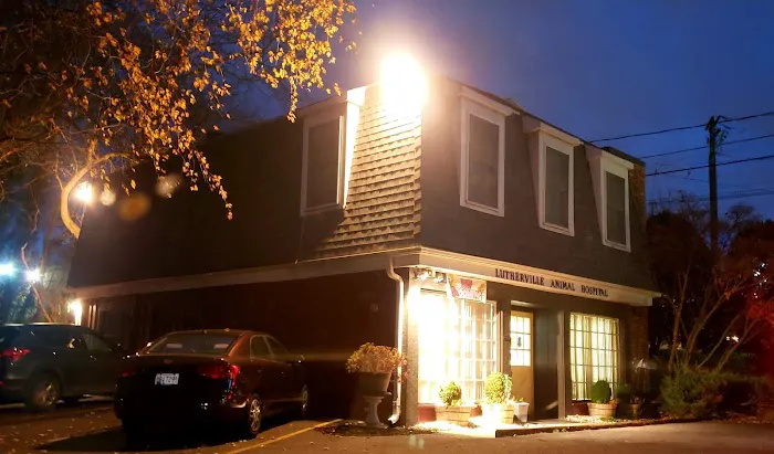 Lutherville Animal Hospital 10