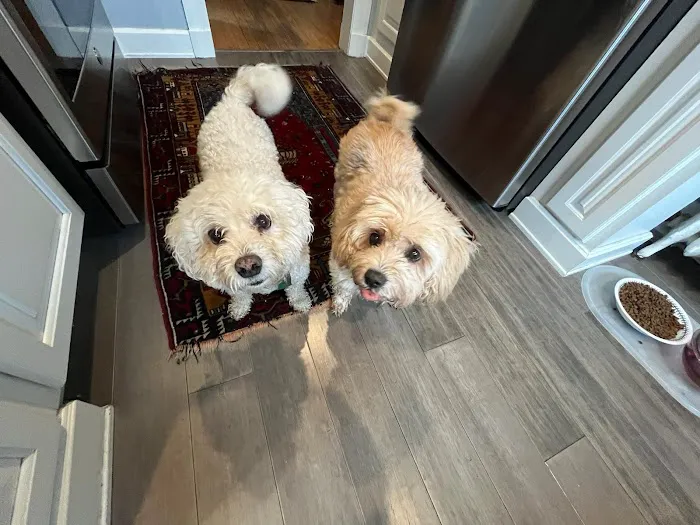 Lutherville Animal Hospital 8