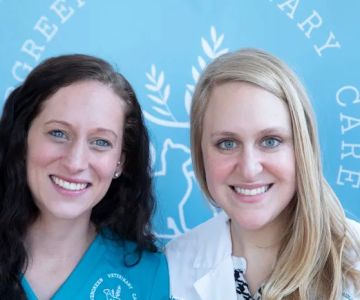 Evergreen Veterinary Care
