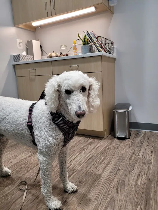 Evergreen Veterinary Care 3