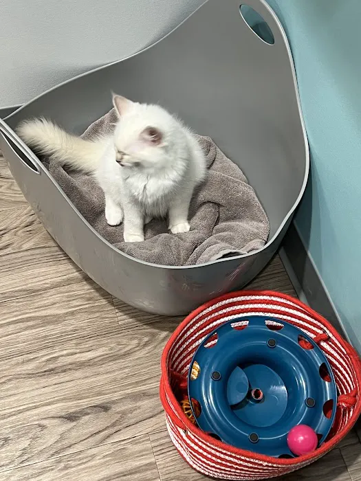 Evergreen Veterinary Care 5
