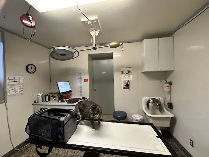Towson Veterinary Hospital Inc 10