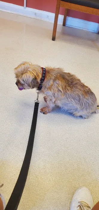 Vinson Animal Hospital 4