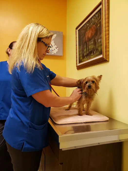 Vinson Animal Hospital 7