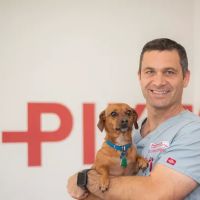 Pikesville Animal Hospital ico