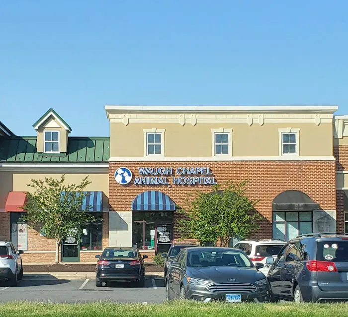 Waugh Chapel Animal Hospital 3