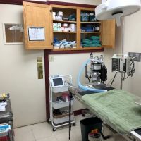 Prime Care Animal Hospital ico