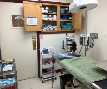 Prime Care Animal Hospital