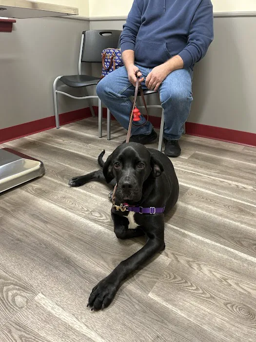 Prime Care Animal Hospital 8