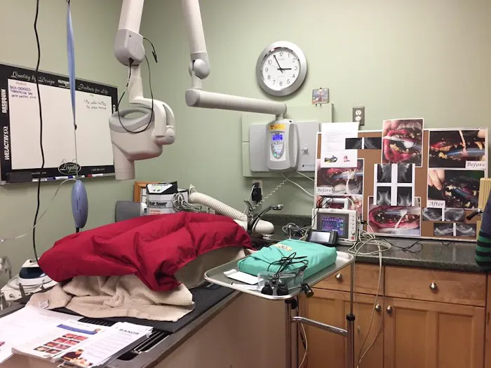 Triadelphia Veterinary Clinic 12