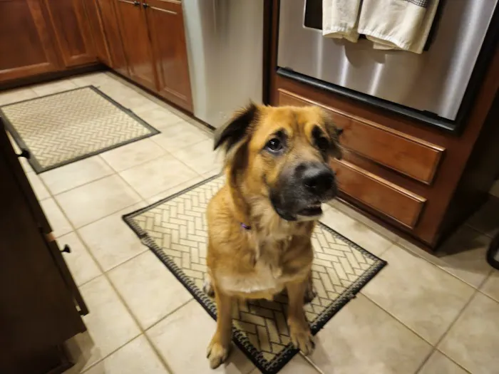 Millersville Animal Hospital 5