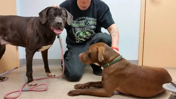 Elkridge Animal Hospital 3