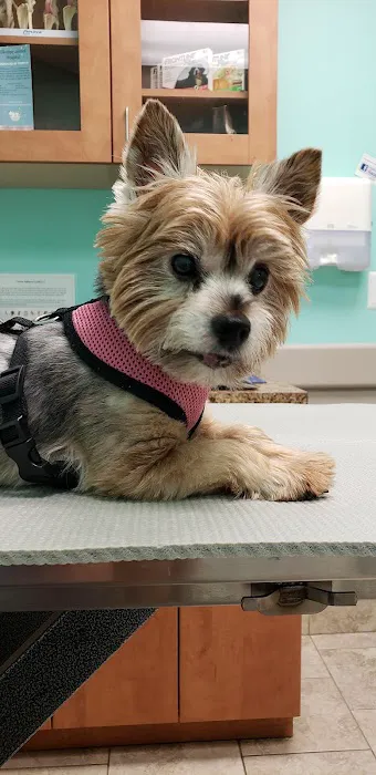 Elkridge Animal Hospital 1