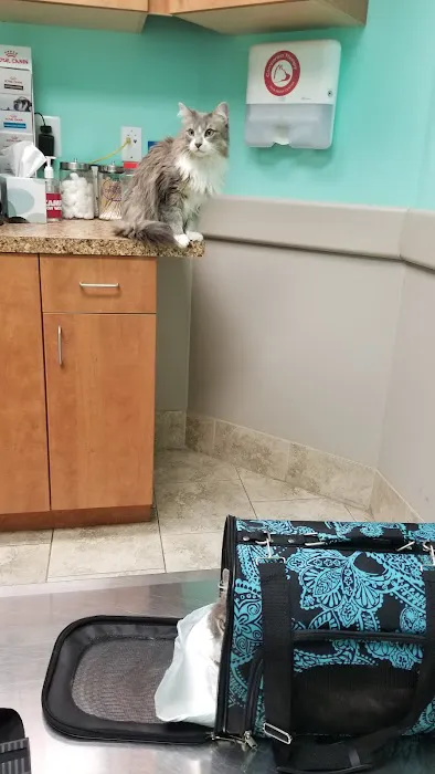 Elkridge Animal Hospital 2