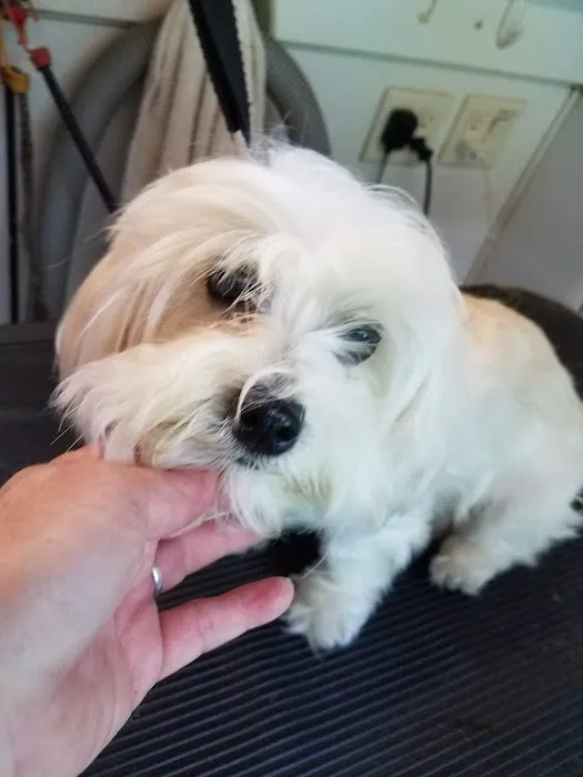 Elkridge Animal Hospital 5