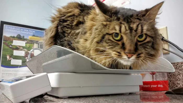 Elkridge Animal Hospital 9