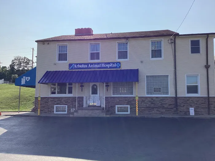 Arbutus Veterinary Hospital 1