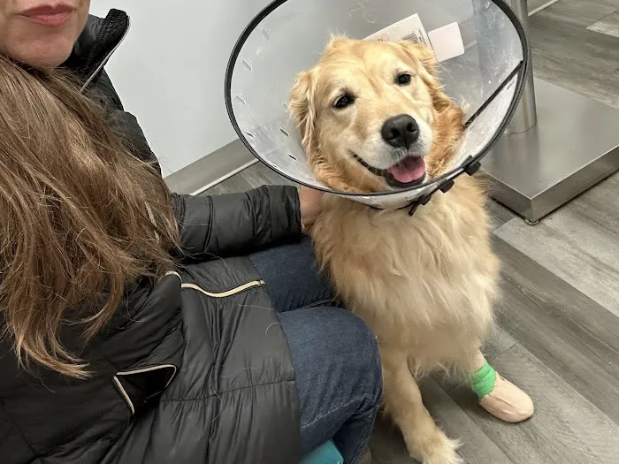 Thrive Pet Healthcare - Catonsville 12