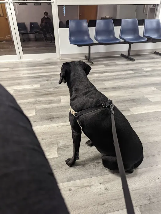 Thrive Pet Healthcare - Catonsville 12