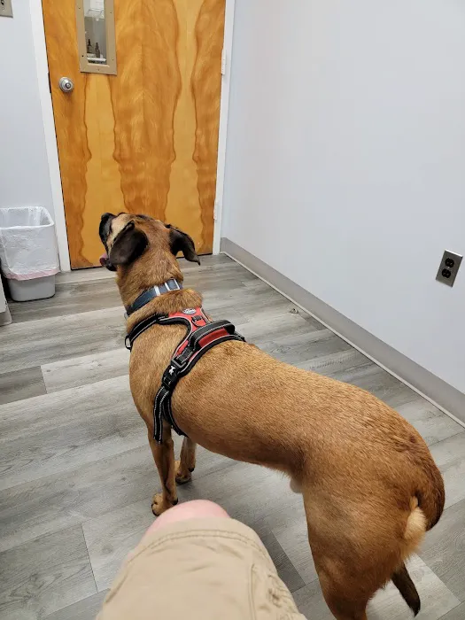 Thrive Pet Healthcare - Catonsville 12