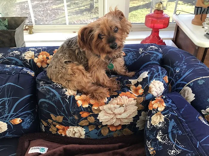 Thrive Pet Healthcare - Catonsville 12