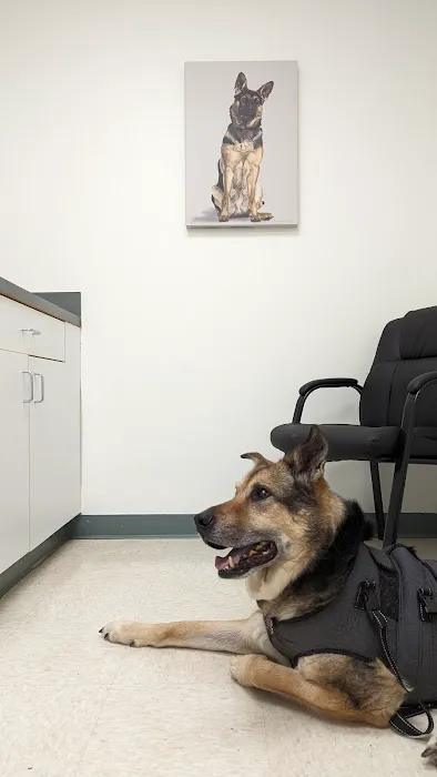 Dermatology for Animals - Catonsville 12
