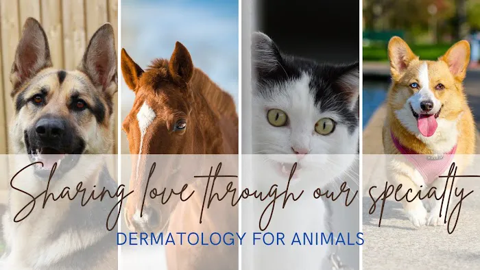 Dermatology for Animals - Catonsville 12