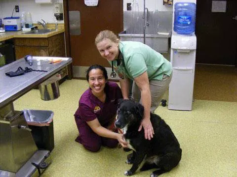 Bay Country Veterinary Hospital 2