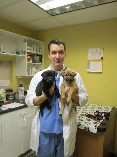 Bay Country Veterinary Hospital 3