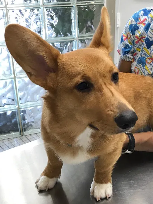 Animal Medical Center of Watkins Park 12