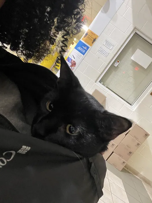 Spay Spot 6