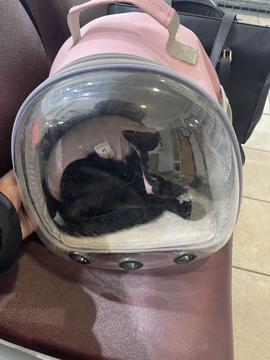 Spay Spot 5