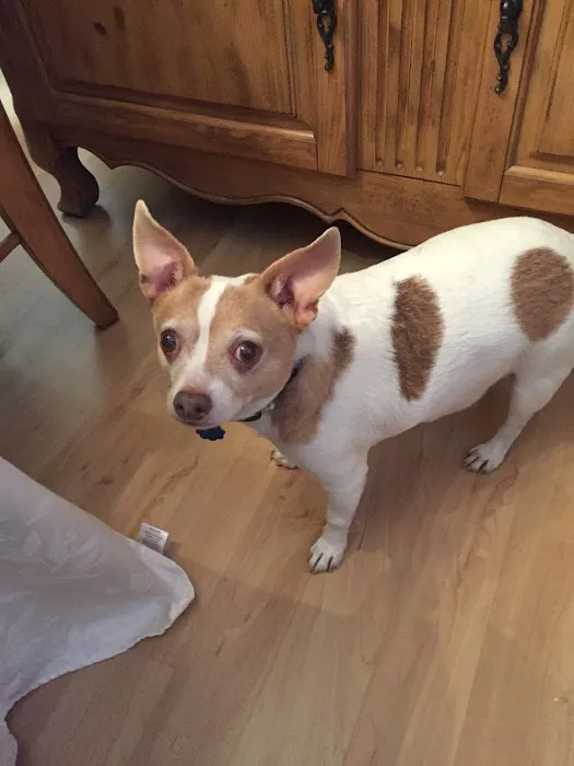 Belair Veterinary Hospital 12