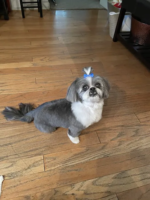 Belair Veterinary Hospital 12