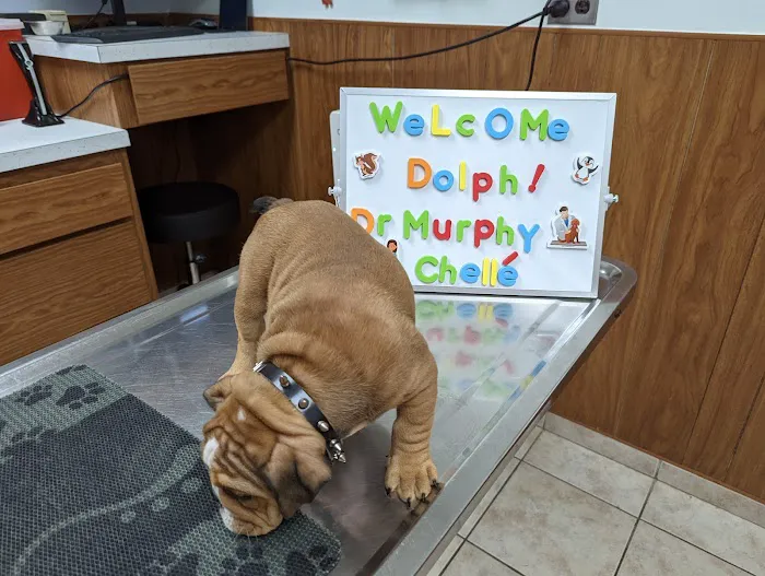 Belair Veterinary Hospital 12