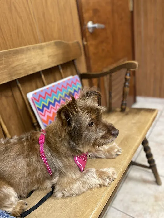 Belair Veterinary Hospital 12