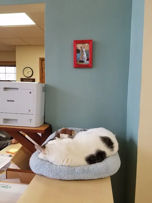 Belair Veterinary Hospital 12