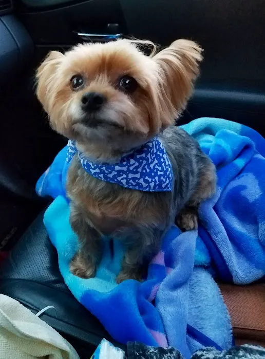 Belair Veterinary Hospital 12