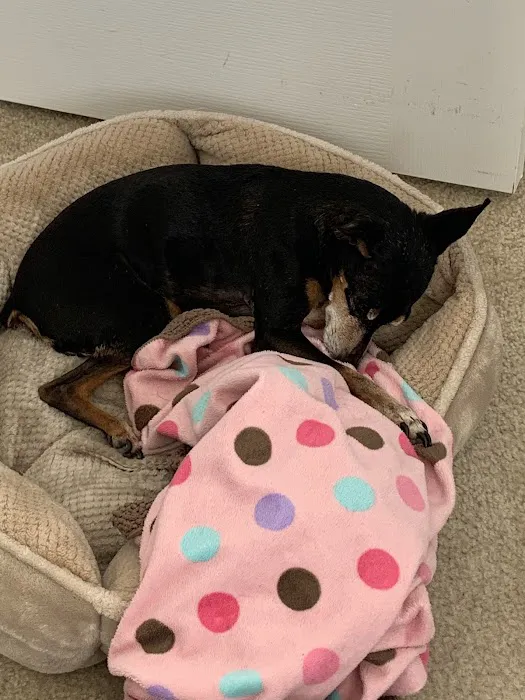 Belair Veterinary Hospital 12