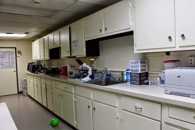 Upper Marlboro Veterinary Hospital 6