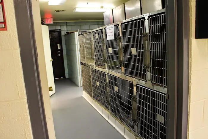 Upper Marlboro Veterinary Hospital 9