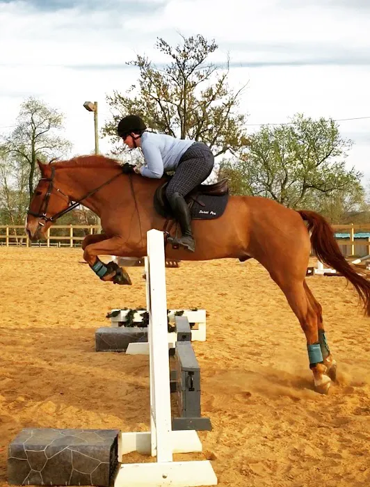 Wolf Creek Equine 12