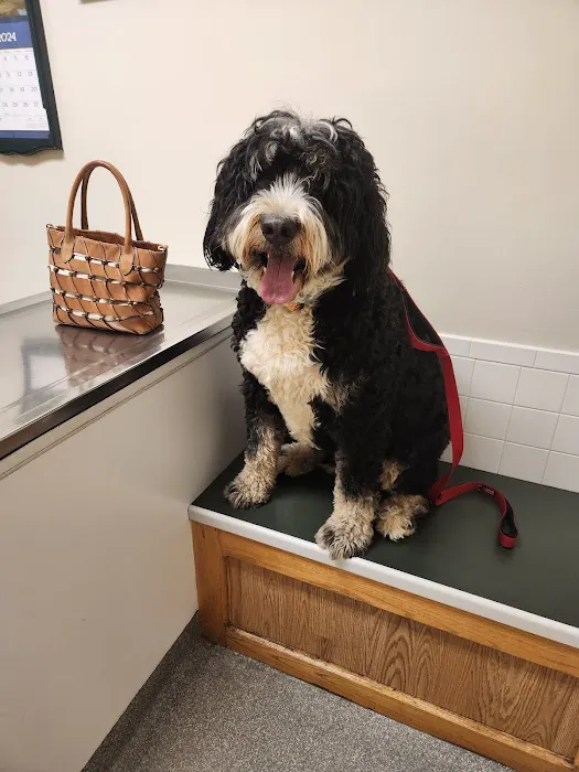 Dunkirk Animal Hospital 12