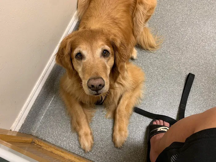 Dunkirk Animal Hospital 12